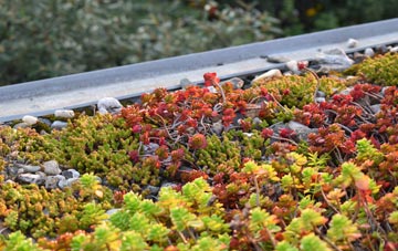 the cost of Three Cocked Hat green roof installation
