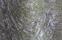 Three Cocked Hat fibreglass roof work